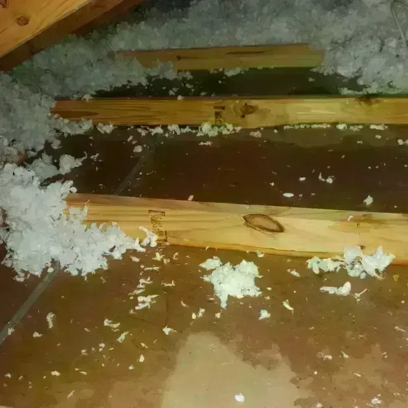 Attic Water Damage in Lavalette, WV